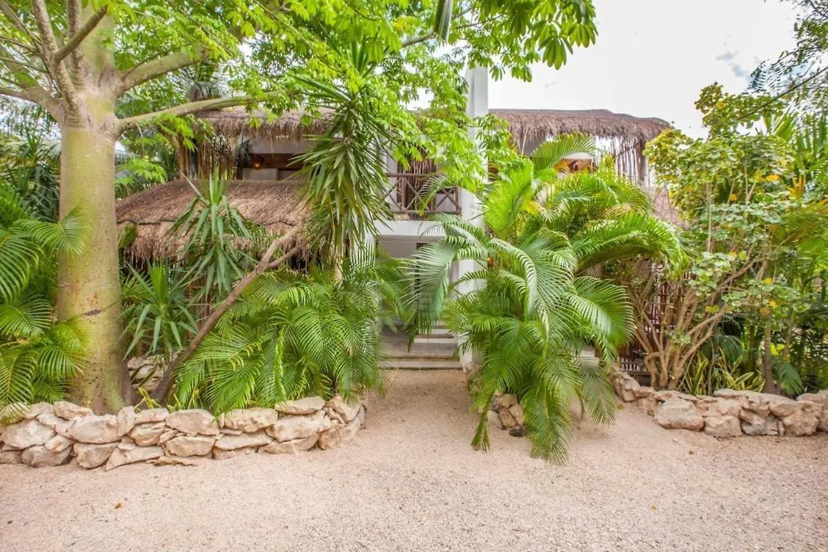 Icastico Tulum Hotel Mexico